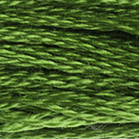 DMC floss 905