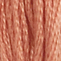 DMC floss 21