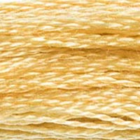 DMC floss 676