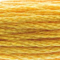 DMC floss 728