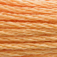 DMC floss 3854
