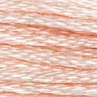DMC floss 948