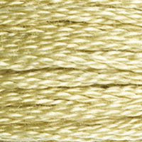 DMC floss 3046