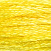 DMC floss 307