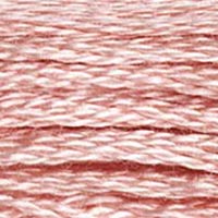 DMC floss 224