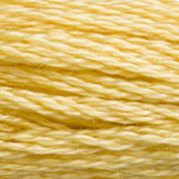 DMC floss 3822