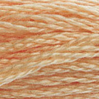 DMC floss 3856