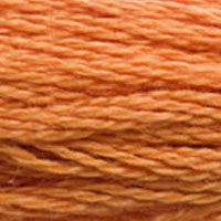 DMC floss 3853