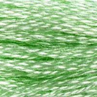 DMC floss 955