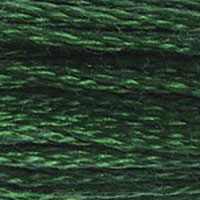 DMC floss 895