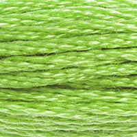 DMC floss 704