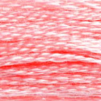 DMC floss 894