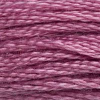DMC floss 316