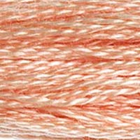 DMC floss 754