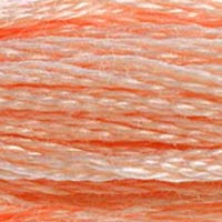DMC floss 353
