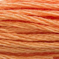 DMC floss 402