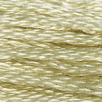 DMC floss 3047