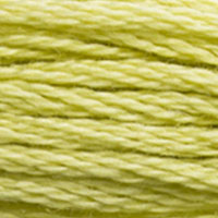 DMC floss 3819