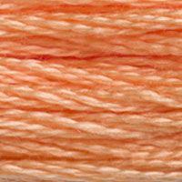 DMC floss 3825