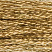 DMC floss 3045