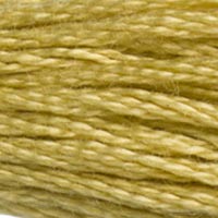 DMC floss 834