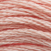 DMC floss 3779