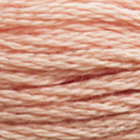 DMC floss 3771