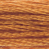DMC floss 976