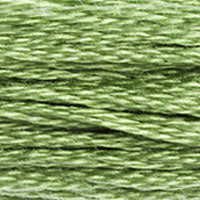 DMC floss 989