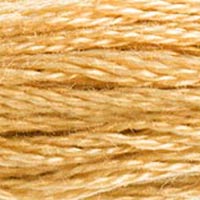DMC floss 422