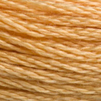 DMC floss 3827