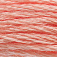 DMC floss 3824
