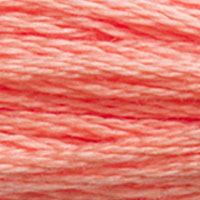 DMC floss 3341