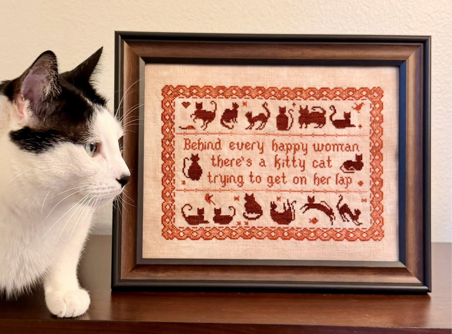 PREORDER CAT Sampler