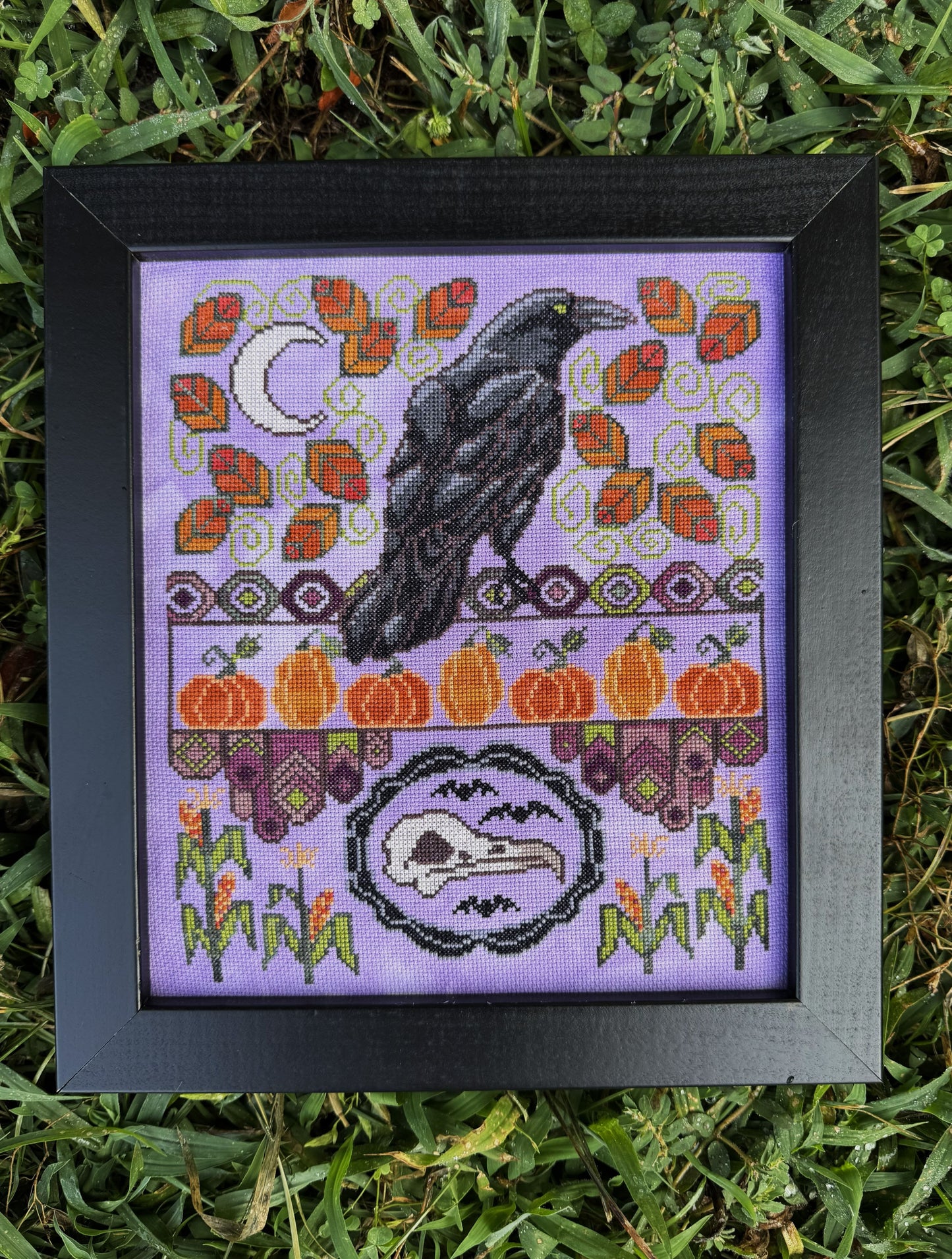 PREORDER Autumn Raven