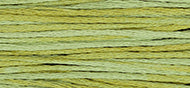 Weeks 2196 Scuppernong