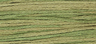 Weeks 2200 Kudzu