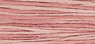 Weeks 2282 Charlotte's Pink